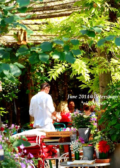 DSC_5198 DSC_5198