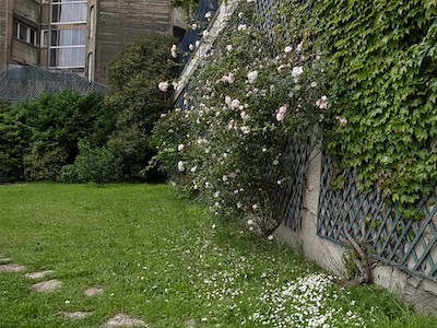 R0041841