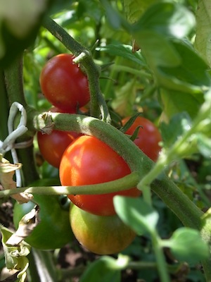 R0048848