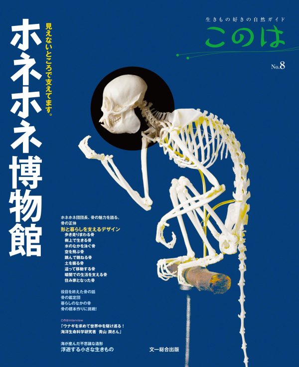 20140617