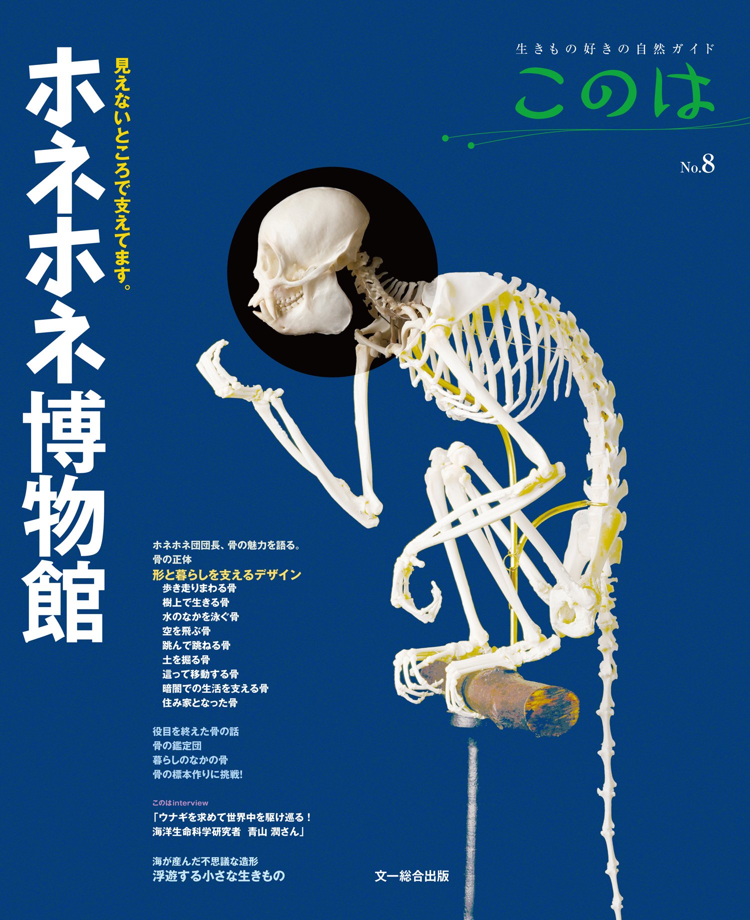 『ホネホネ博物館』骨のふしぎと面白さにあっと驚く！
