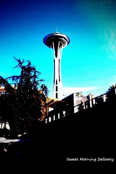 space-needle1