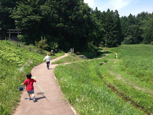 写真 1
