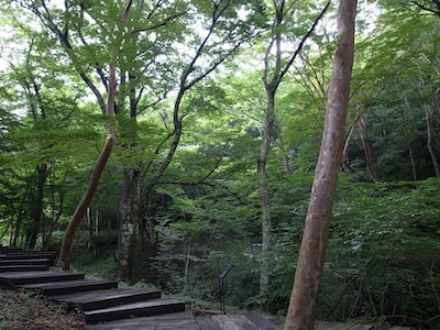 R0049249
