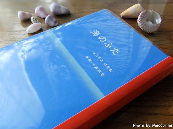 素晴らしい夏の気分を運ぶ『海のふた』