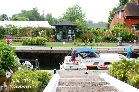 DSC_6196 DSC_6196