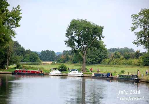 DSC_6212 DSC_6212