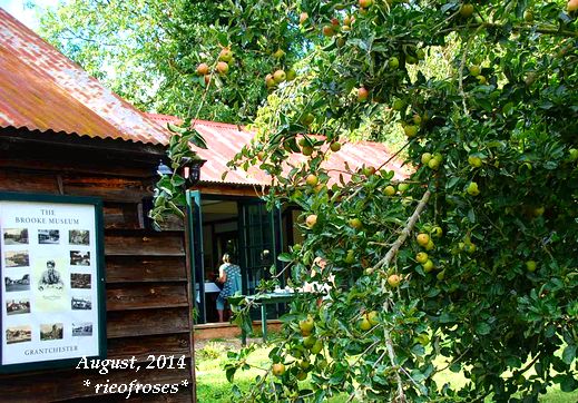 DSC_7078 DSC_7078