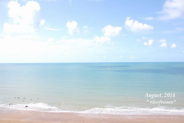 DSC_7133 DSC_7133