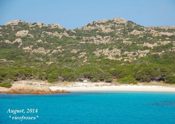 DSC_7665 DSC_7665