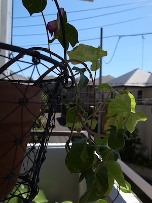R0049282
