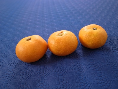 R0049301 R0049301
