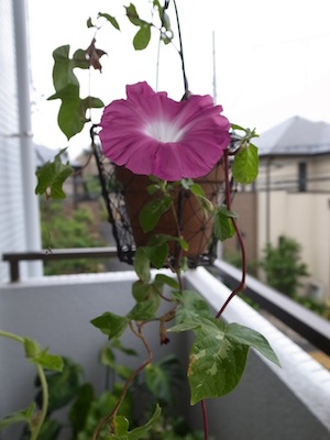 R0049318
