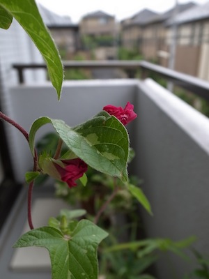 R0049319