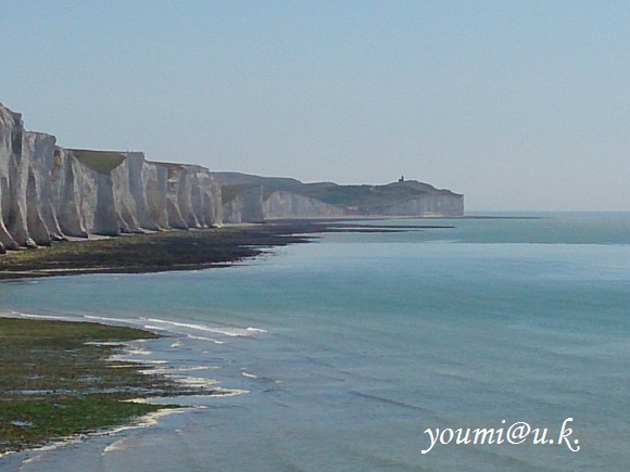 DSC_0885 DSC_0885