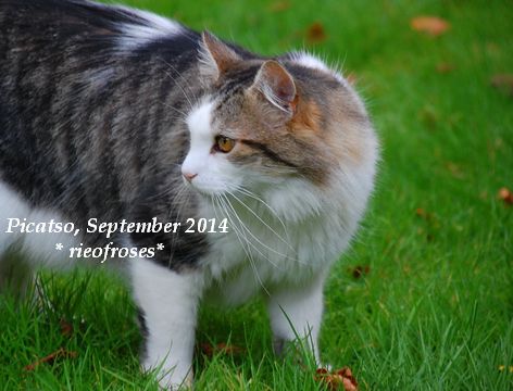 DSC_8880 DSC_8880