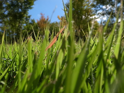 R0049386