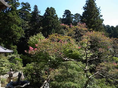 R0049602