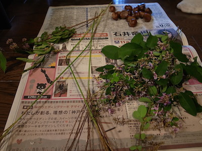 R0049624