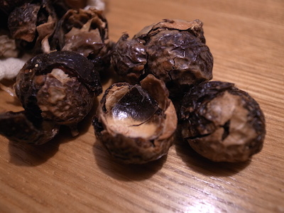 R0049867 R0049867