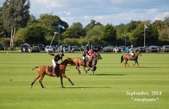 polo3 polo3
