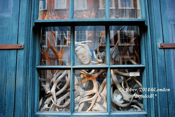 DSC_0027 DSC_0027