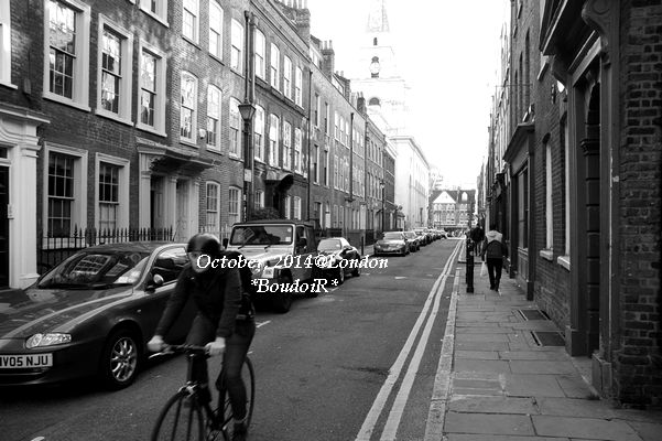 DSC_0030 DSC_0030