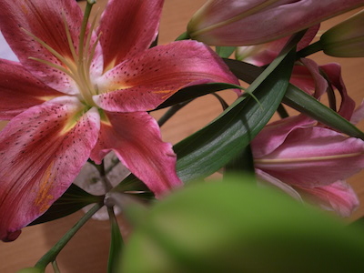 R0050159