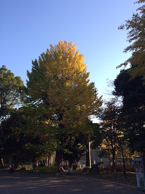 写真 2 のコピー 2 写真 2 のコピー 2