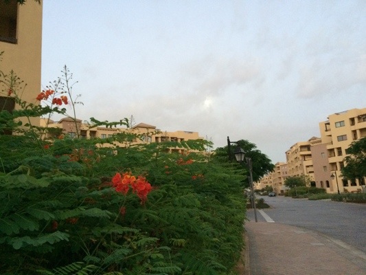 20141110-145538.jpg