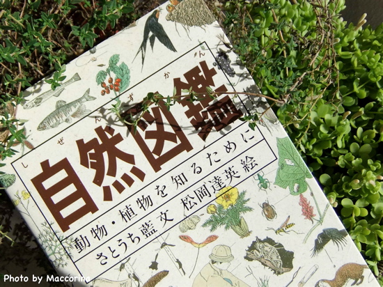 自然観察に出かけたくなる本