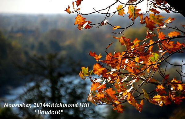 DSC_0241 DSC_0241