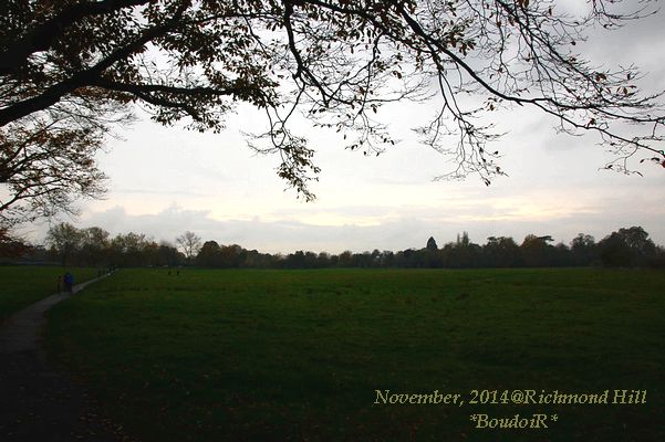 DSC_0575 DSC_0575