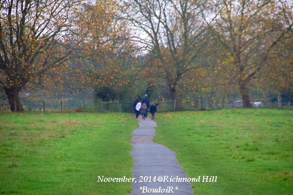 DSC_0576 DSC_0576
