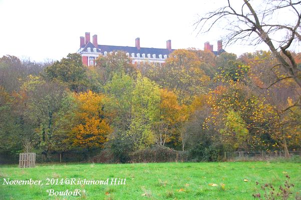 DSC_0577 DSC_0577