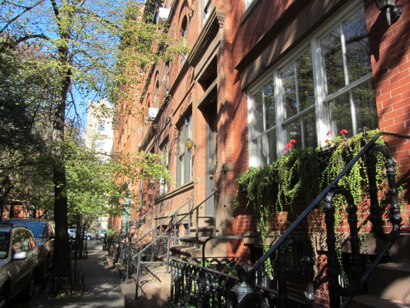 IMG_0117NY 6