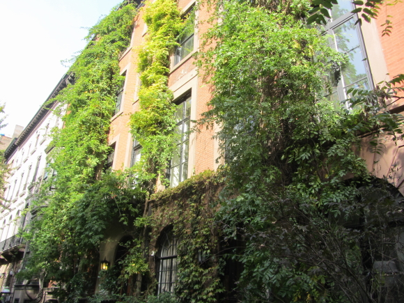 IMG_0127NY 4