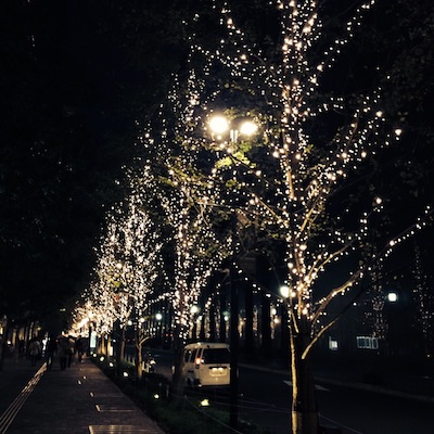写真 3 のコピー 2 写真 3 のコピー 2