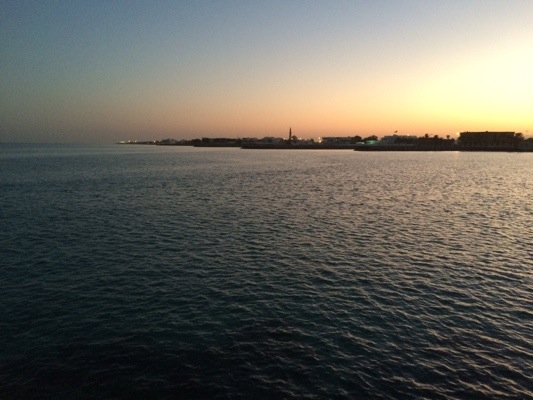 20141203-051326.jpg