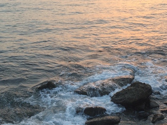 20141203-051432.jpg