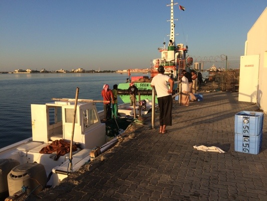 20141203-051908.jpg