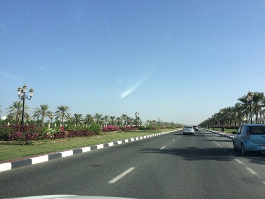 20141208-155512.jpg