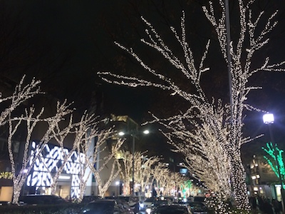 写真 1 のコピー 2