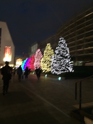 写真 4