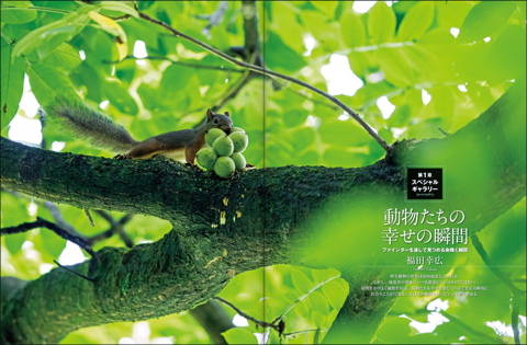 BONBON321 写真:福田幸広「動物たちの幸せの瞬間」より。