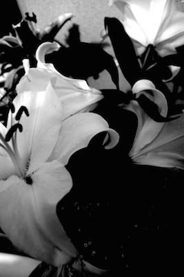 DSCF3899