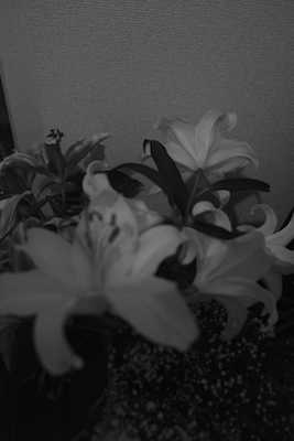 DSCF3907