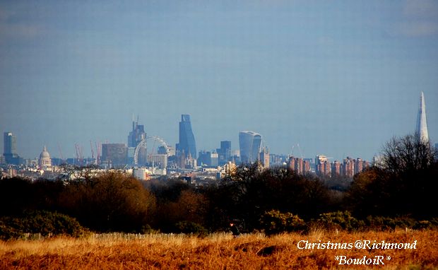 DSC_1550 DSC_1550