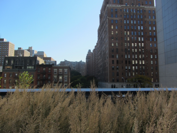 IMG_0106NY 8 IMG_0106NY 8