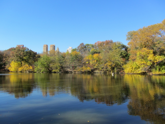 IMG_0189NY 14
